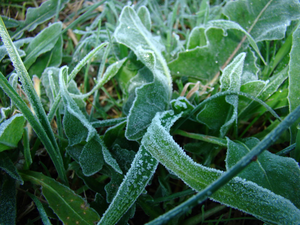 I colori dell''Inverno....